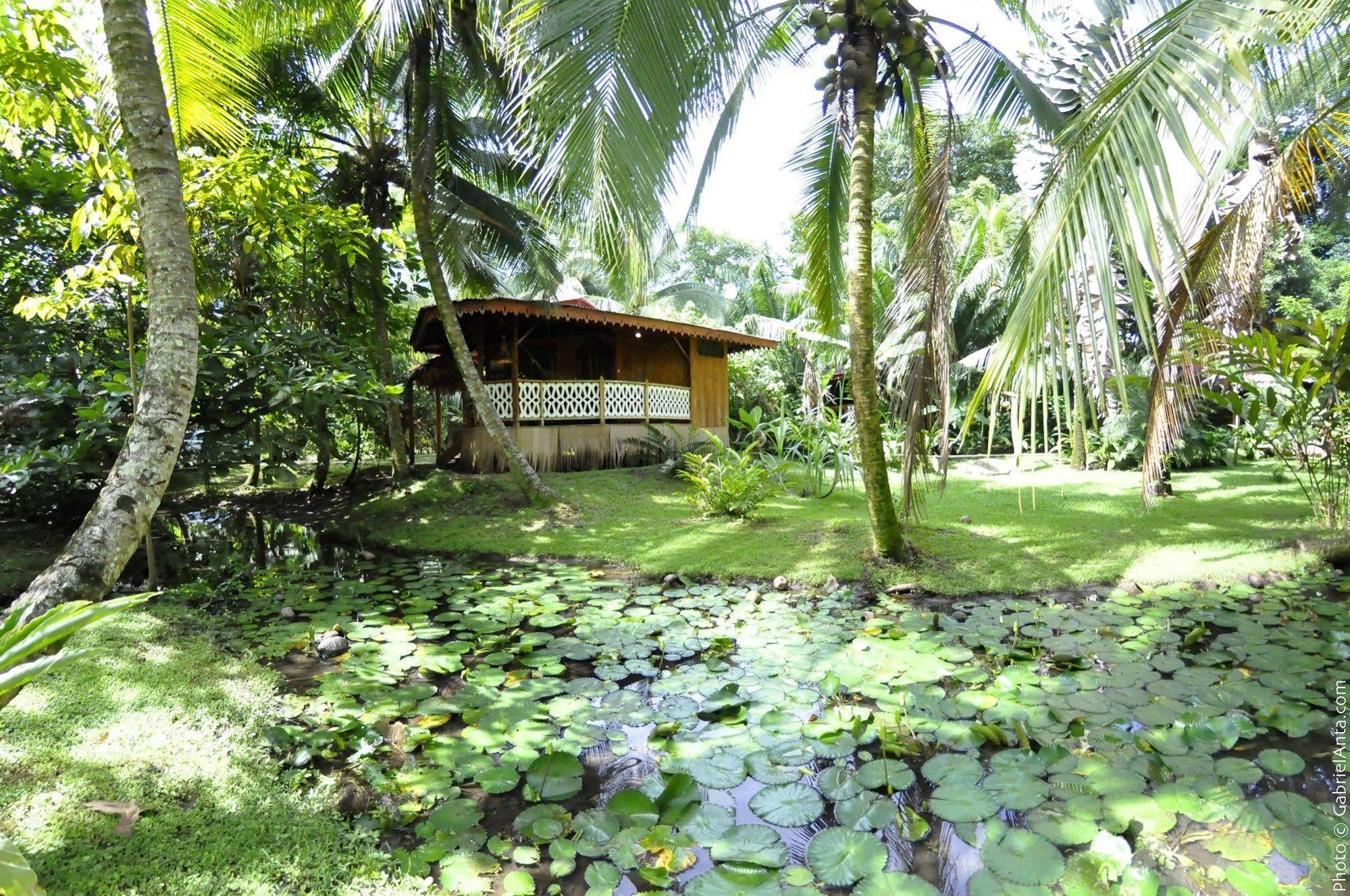 Hotel La Costa De Papito Puerto Viejo de Talamanca Экстерьер фото