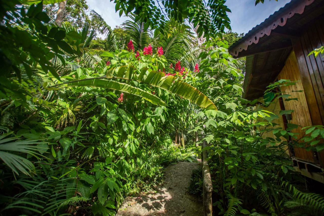 Hotel La Costa De Papito Puerto Viejo de Talamanca Экстерьер фото